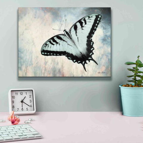Image of 'Teal Butterfly II' by Lori Deiter, Canvas Wall Art,16 x 12
