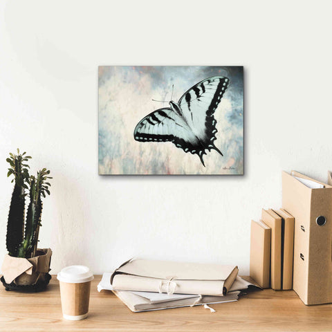 Image of 'Teal Butterfly II' by Lori Deiter, Canvas Wall Art,16 x 12