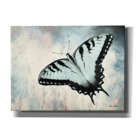 Image of 'Teal Butterfly II' by Lori Deiter, Canvas Wall Art