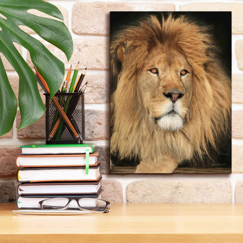 Image of 'King of the Jungle' by Lori Deiter, Canvas Wall Art,12 x 16