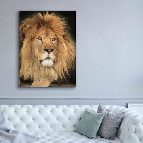 Image of 'King of the Jungle' by Lori Deiter, Canvas Wall Art,40 x 54