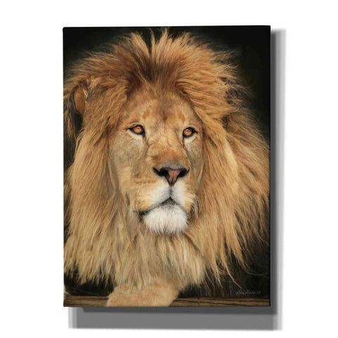 Image of 'King of the Jungle' by Lori Deiter, Canvas Wall Art