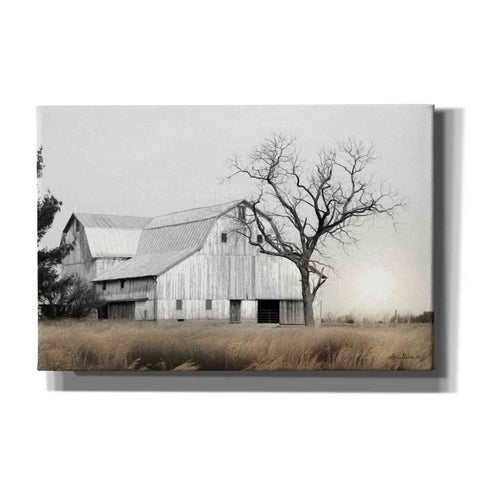 Image of 'Ohio Fields I' by Lori Deiter, Canvas Wall Art