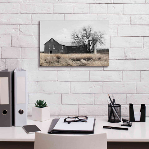 Image of 'Ohio Fields II' by Lori Deiter, Canvas Wall Art,18 x 12