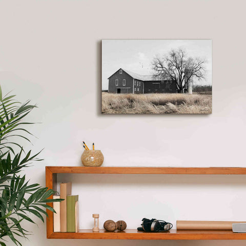 Image of 'Ohio Fields II' by Lori Deiter, Canvas Wall Art,18 x 12