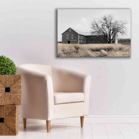 Image of 'Ohio Fields II' by Lori Deiter, Canvas Wall Art,40 x 26