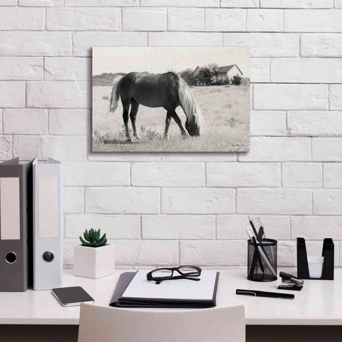 Image of 'Summer Grazing' by Lori Deiter, Canvas Wall Art,18 x 12