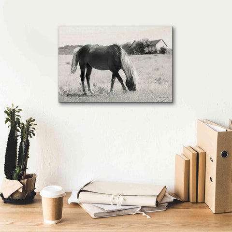 Image of 'Summer Grazing' by Lori Deiter, Canvas Wall Art,18 x 12