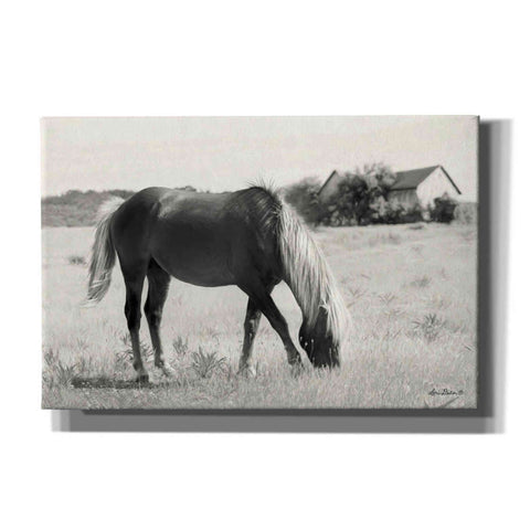 Image of 'Summer Grazing' by Lori Deiter, Canvas Wall Art
