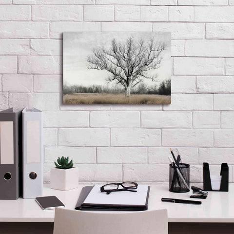 Image of 'Earth & Sky' by Lori Deiter, Canvas Wall Art,18 x 12