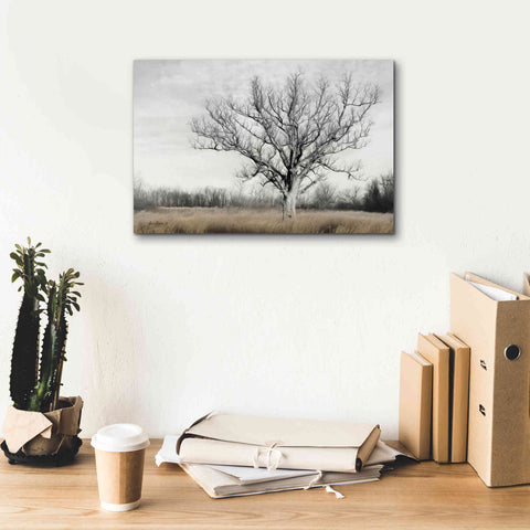 Image of 'Earth & Sky' by Lori Deiter, Canvas Wall Art,18 x 12