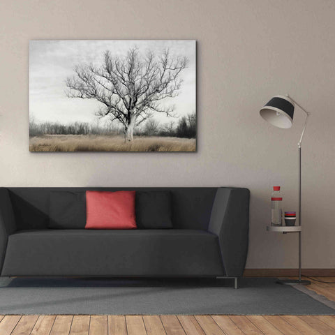 Image of 'Earth & Sky' by Lori Deiter, Canvas Wall Art,60 x 40