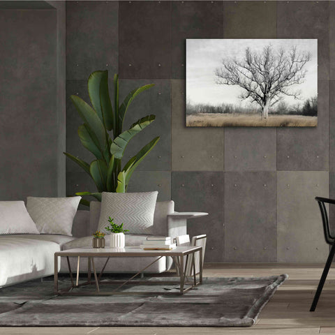 Image of 'Earth & Sky' by Lori Deiter, Canvas Wall Art,60 x 40