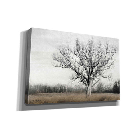 Image of 'Earth & Sky' by Lori Deiter, Canvas Wall Art