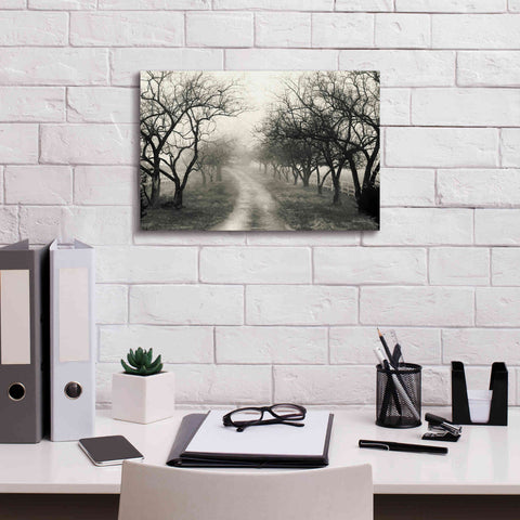 Image of 'Foggy Lane' by Lori Deiter, Canvas Wall Art,18 x 12