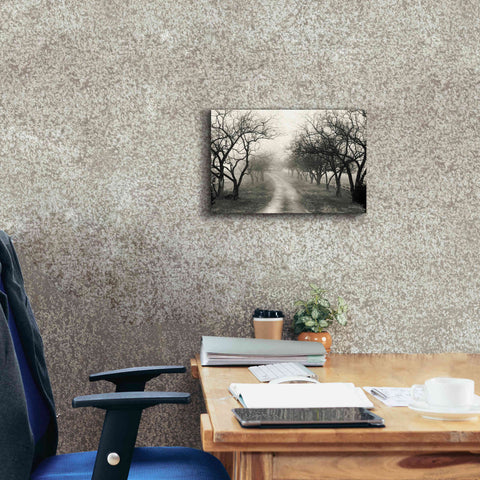 Image of 'Foggy Lane' by Lori Deiter, Canvas Wall Art,18 x 12