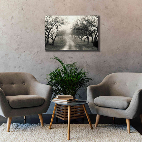 Image of 'Foggy Lane' by Lori Deiter, Canvas Wall Art,40 x 26