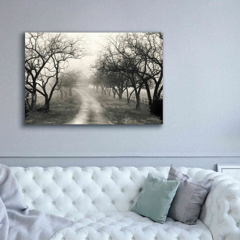Image of 'Foggy Lane' by Lori Deiter, Canvas Wall Art,60 x 40