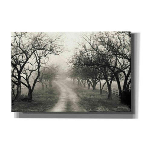Image of 'Foggy Lane' by Lori Deiter, Canvas Wall Art