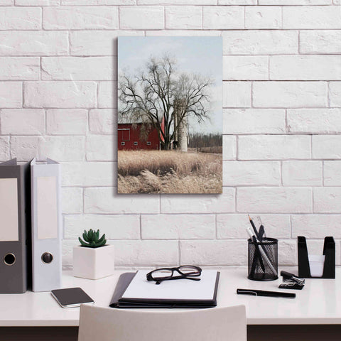 Image of 'Painted Silo' by Lori Deiter, Canvas Wall Art,12 x 18