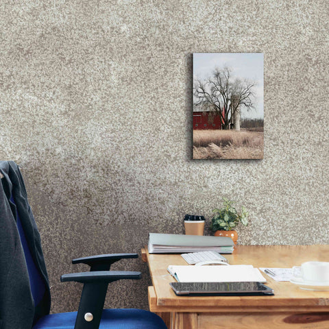 Image of 'Painted Silo' by Lori Deiter, Canvas Wall Art,12 x 18