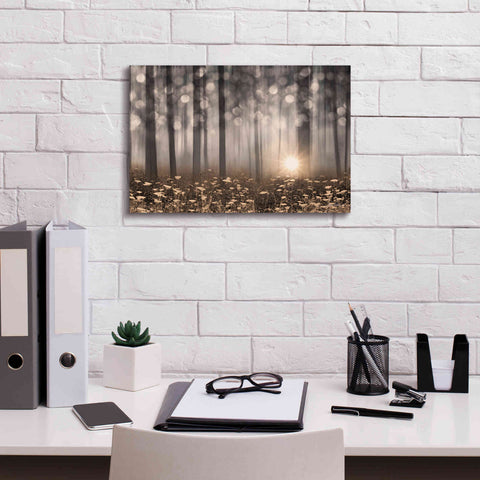 Image of 'Enchanted Morning' by Lori Deiter, Canvas Wall Art,18 x 12