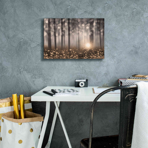 Image of 'Enchanted Morning' by Lori Deiter, Canvas Wall Art,18 x 12