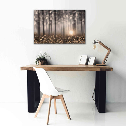 Image of 'Enchanted Morning' by Lori Deiter, Canvas Wall Art,40 x 26
