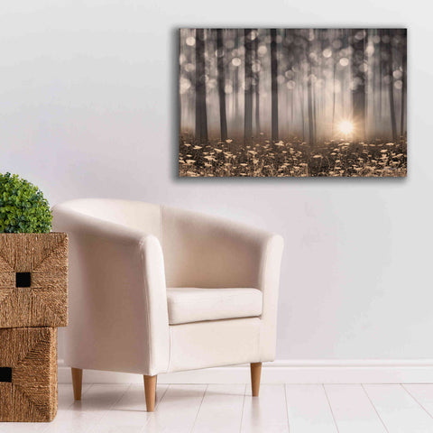 Image of 'Enchanted Morning' by Lori Deiter, Canvas Wall Art,40 x 26