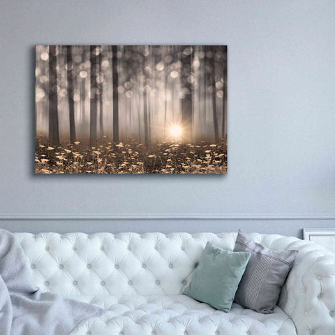 Image of 'Enchanted Morning' by Lori Deiter, Canvas Wall Art,60 x 40