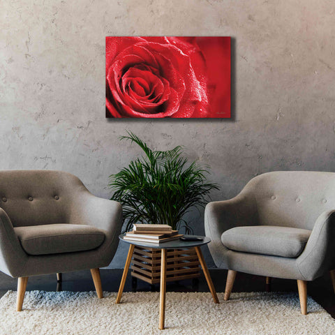 Image of 'Red Rose After Rain' by Lori Deiter, Canvas Wall Art,40 x 26