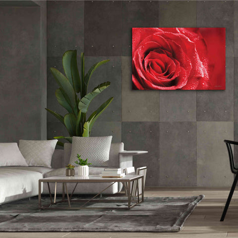 Image of 'Red Rose After Rain' by Lori Deiter, Canvas Wall Art,60 x 40