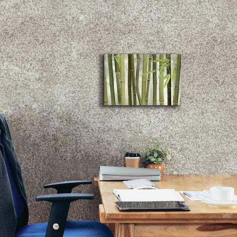 Image of 'Backlit Bamboo I' by Lori Deiter, Canvas Wall Art,18 x 12