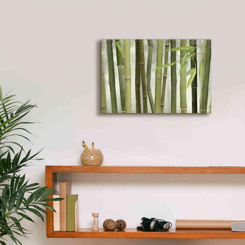 Image of 'Backlit Bamboo I' by Lori Deiter, Canvas Wall Art,18 x 12