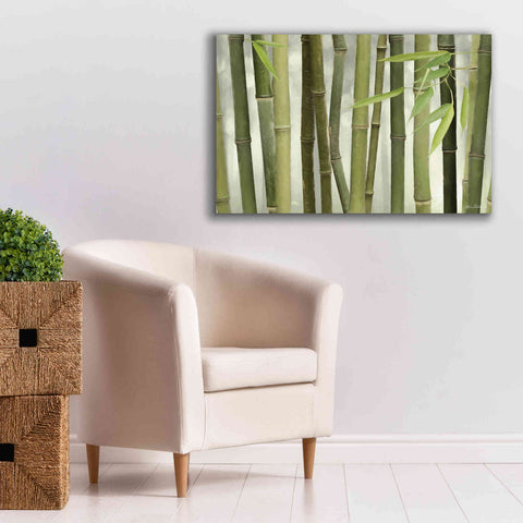 Image of 'Backlit Bamboo I' by Lori Deiter, Canvas Wall Art,40 x 26