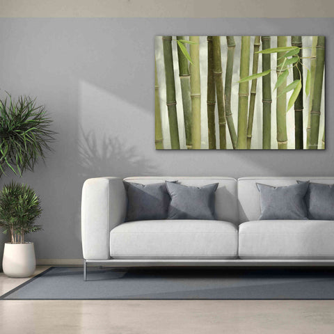 Image of 'Backlit Bamboo I' by Lori Deiter, Canvas Wall Art,60 x 40