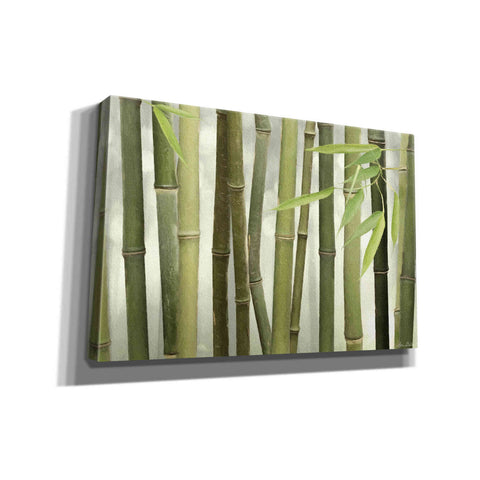 Image of 'Backlit Bamboo I' by Lori Deiter, Canvas Wall Art