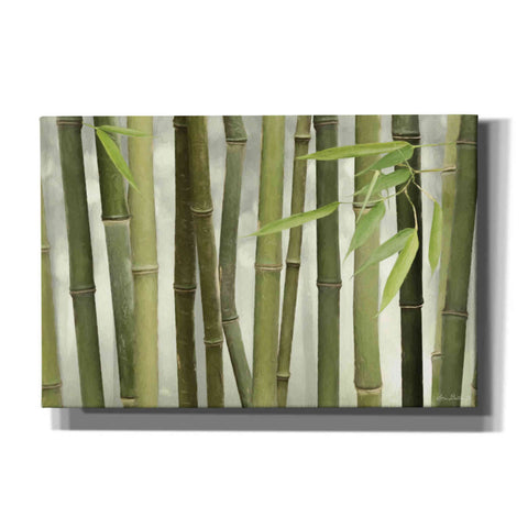 Image of 'Backlit Bamboo I' by Lori Deiter, Canvas Wall Art