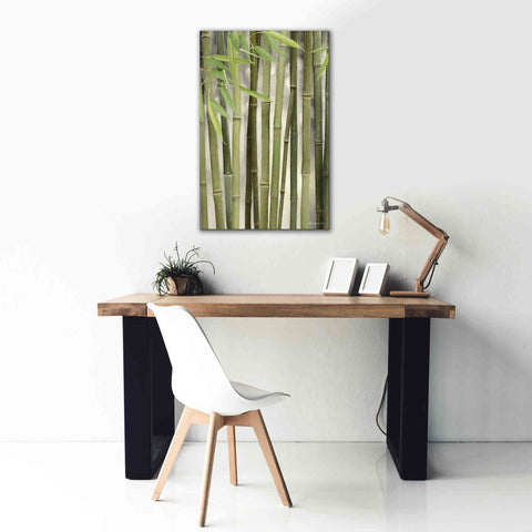 Image of 'Backlit Bamboo II' by Lori Deiter, Canvas Wall Art,26 x 40