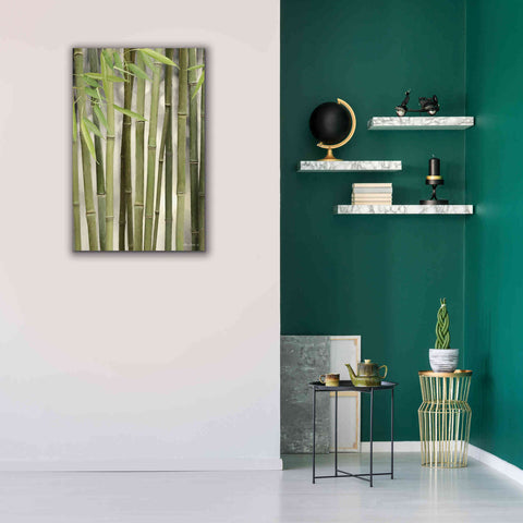 Image of 'Backlit Bamboo II' by Lori Deiter, Canvas Wall Art,26 x 40
