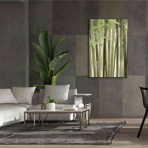 Image of 'Backlit Bamboo II' by Lori Deiter, Canvas Wall Art,40 x 60