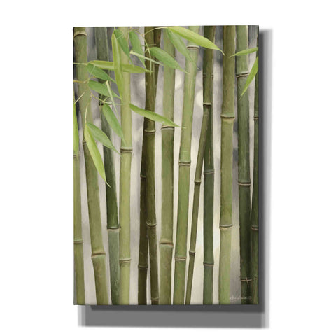 Image of 'Backlit Bamboo II' by Lori Deiter, Canvas Wall Art