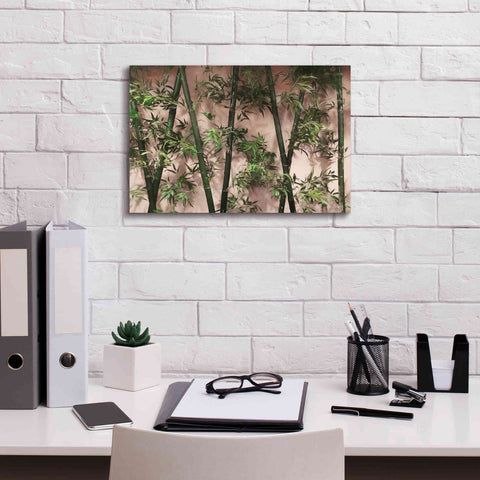 Image of 'Bamboo on Blush' by Lori Deiter, Canvas Wall Art,18 x 12