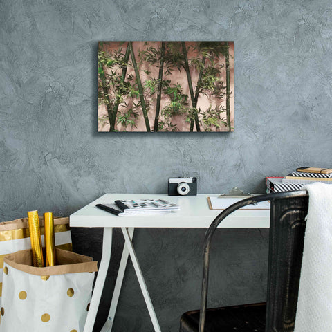 Image of 'Bamboo on Blush' by Lori Deiter, Canvas Wall Art,18 x 12