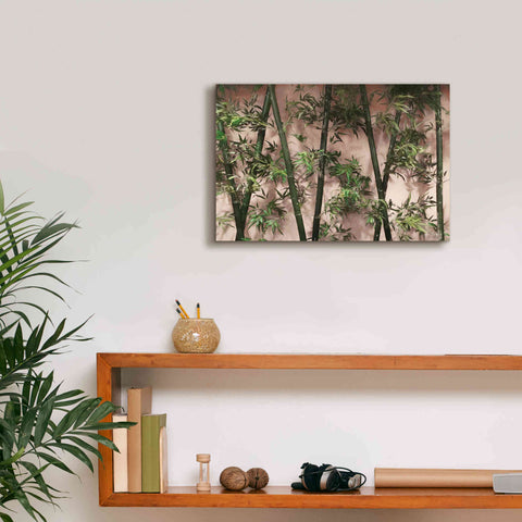 Image of 'Bamboo on Blush' by Lori Deiter, Canvas Wall Art,18 x 12