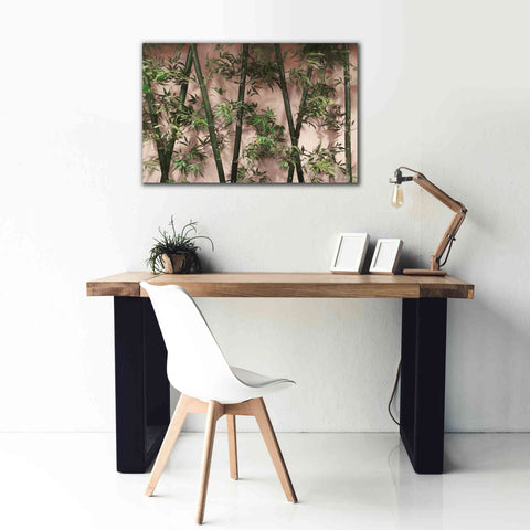 Image of 'Bamboo on Blush' by Lori Deiter, Canvas Wall Art,40 x 26