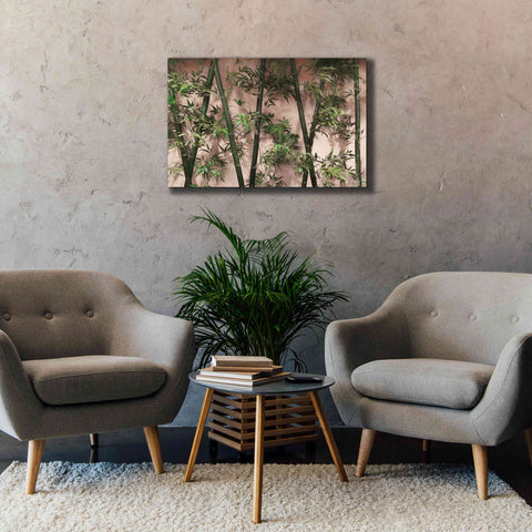 Image of 'Bamboo on Blush' by Lori Deiter, Canvas Wall Art,40 x 26
