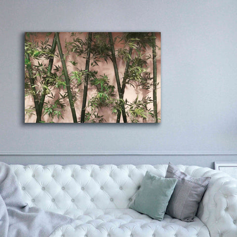 Image of 'Bamboo on Blush' by Lori Deiter, Canvas Wall Art,60 x 40