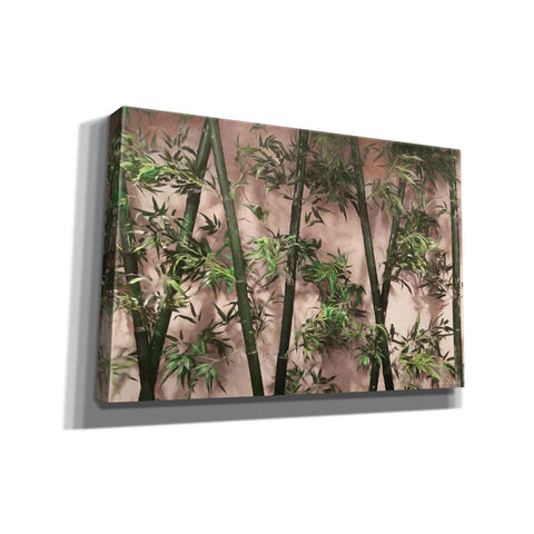 Image of 'Bamboo on Blush' by Lori Deiter, Canvas Wall Art