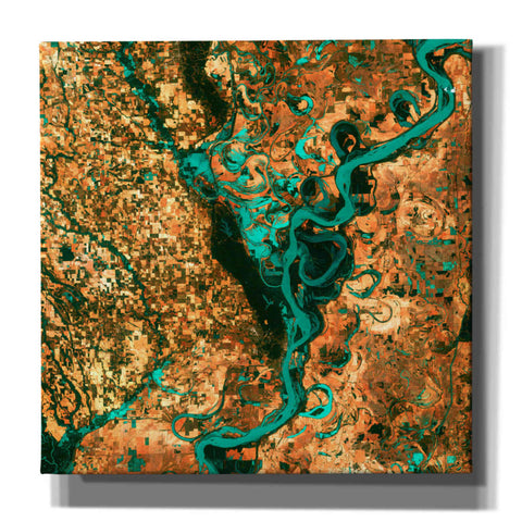 Image of 'Meandering' Canvas Wall Art